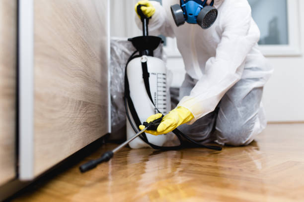Best Pest Control Treatment  in Hideo, UT
