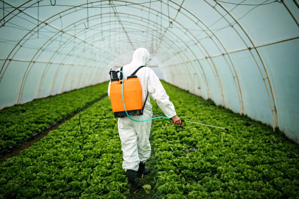Best Residential Pest Control  in Hideo, UT
