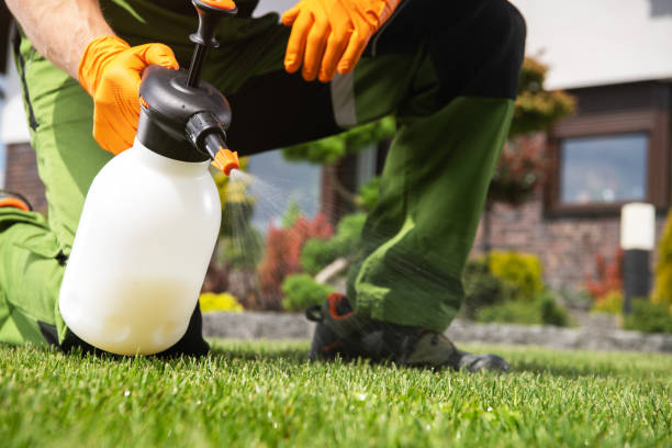 Best Cockroach Control Services  in Hideo, UT