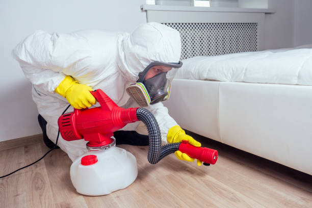 Best Termite Control Services  in Hideo, UT