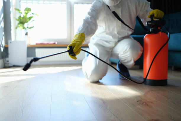 Best Wasp Removal Services  in Hideo, UT