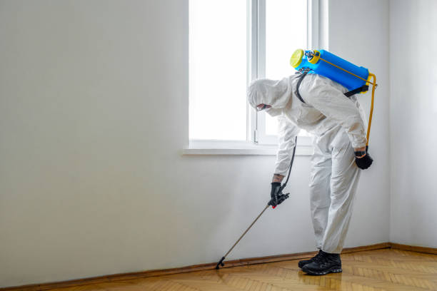 Best Pest Inspection Near Me  in Hideo, UT