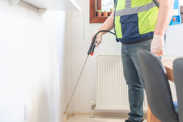 Best Flea Control Services  in Hideo, UT
