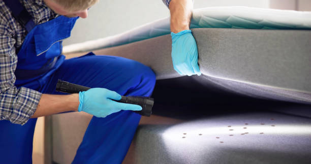 Best Pest Inspection Near Me  in Hideo, UT