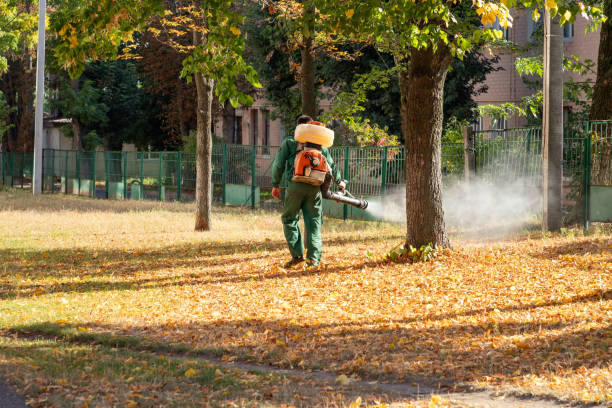 Best Wasp Removal Services  in Hideo, UT