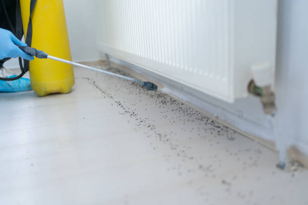 Best Pest Prevention Services  in Hideo, UT