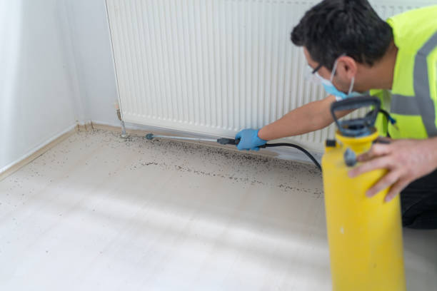 Best Ant Control Services  in Hideo, UT